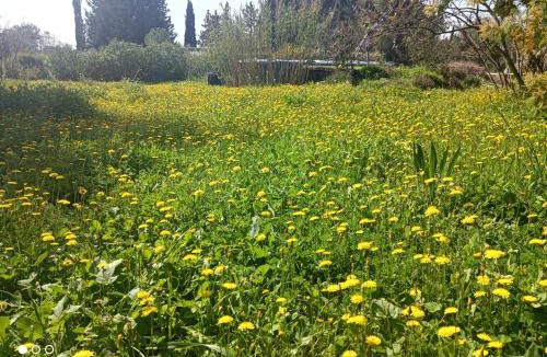 Lunel House | Écoutez les oiseaux Arrivée en autonomie