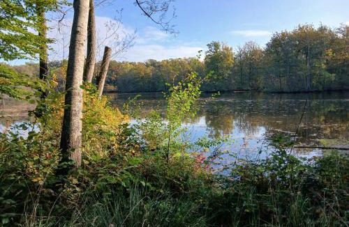 Vrigne-aux-Bois Apartment | écurie de Saint Bale
