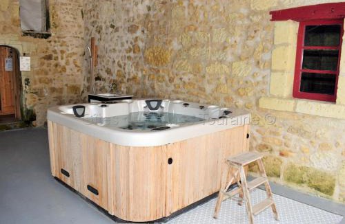 Les Essards House | Élégante Demeure 17e avec Spa, Sauna et Authentique Cheminée, proche Châteaux de la Loire - FR-1-381-348