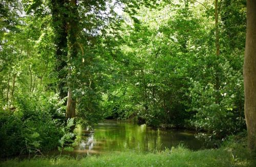 Conty Other | Étape de la Roulotte