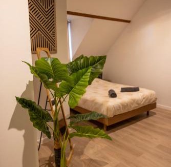 Chateaudun Apartment | Évasion au cœur de bois