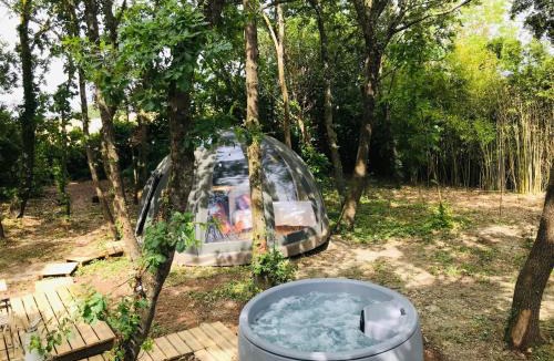 Ricaud Other | Ô cocon del Lauragués