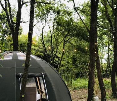 Ricaud Other | Ô cocon del Lauragués