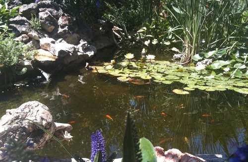 Ledenon Bed & Breakfast | Ô Doux s'Home