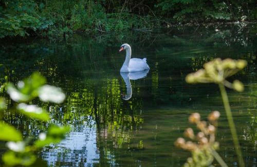 Boutancourt House | Ô jardin de boutancourt