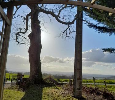 Ogenne-Camptort House | Ô ptit gîte d'Ogenne