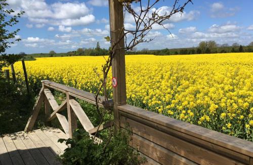 Stege House | Ølholm Cottage