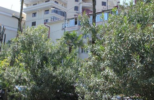 Sochi City Centre Apartment | Балкон на море