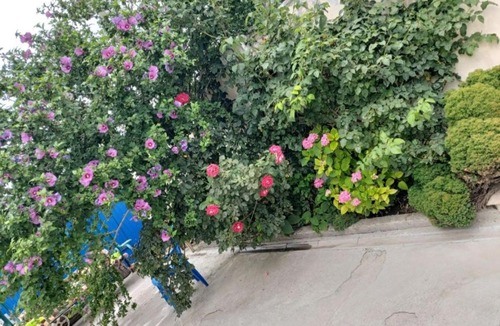 Anapa House | Гостевой дом Анна