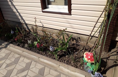 Taganrog House | Гостевой дом