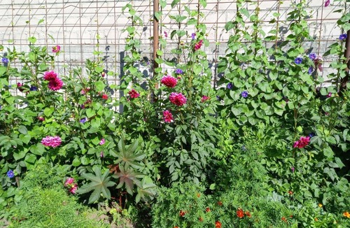 Teberda Hotel | гостиница Гаралы