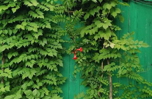 Leninsky District Hotel | Гостиница Мещерино