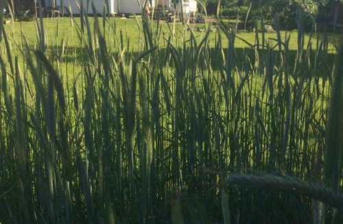 Novosergiyevo House | Деревенский дом на праздник