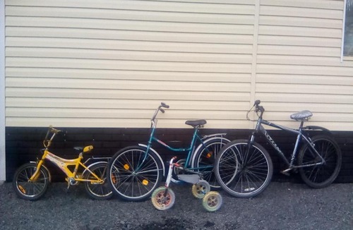 Petrovsky House | Домик у леса