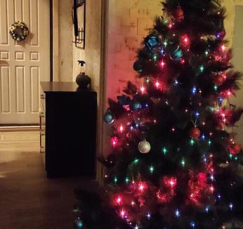 Dashkovskoe House | Душевный домик