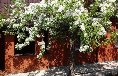 Nizhny Novgorod House | Коттедж