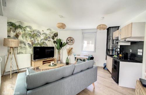 Pont des Demoiselles-Montaudran-La Terrasse Apartment | ღ La Terrasse Baïa Parking & Wi-Fi