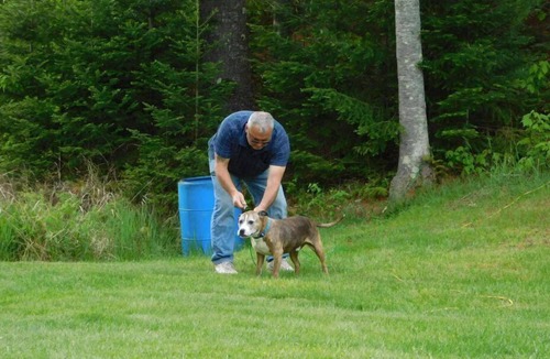 Stewartstown Cabin | 04) Moose Place Cabin