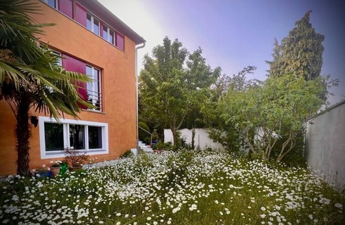 Meggen House | 1.5 room holiday flat