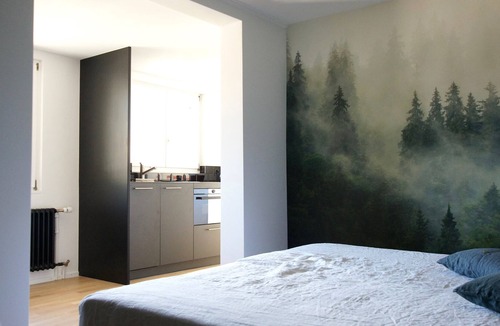 Central Interlaken Condo | 1,5-zi Design-studio Beim Westbahnhof, Ruhige Lage
