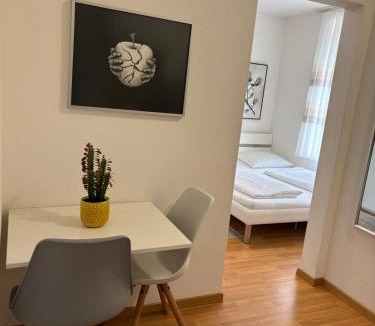 Winterthur Apartment | 1,5 Zimmer Appartement