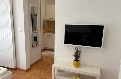 Winterthur Apartment | 1,5 Zimmer Appartement