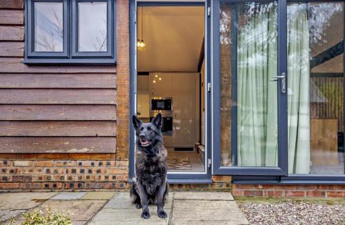 Northwich House | 1 Bed in Hartford 91435