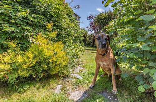 Black Torrington House | 1 Bed in Petrockstow 42982