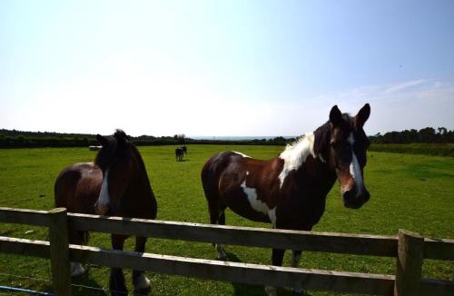 Easterside House | 1 Bed in Pockley oc-y117