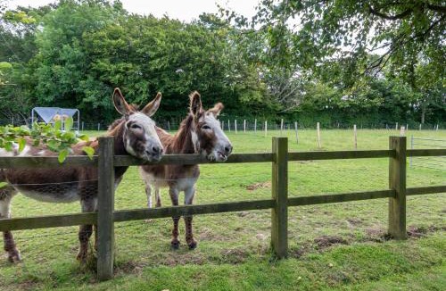 Ewhurst Green House | 1 Bed in Rolvenden oc-tn612