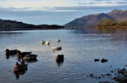 Rosthwaite Apartment | 1 Bed in Rosthwaite 86245