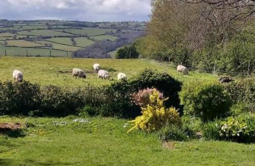 Westbrook Court House | 1 Bed Lodge-Sleeps 4-Pet Friendly-Free Parking