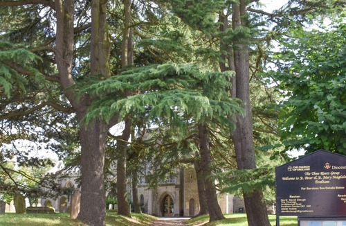 Thistley Green Cottage | 1 bedroom accommodation in Fordham, near Ely