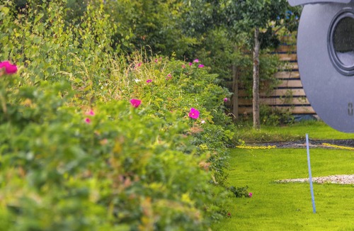 Alloa Cottage | 1 bedroom accommodation in Clackmannan