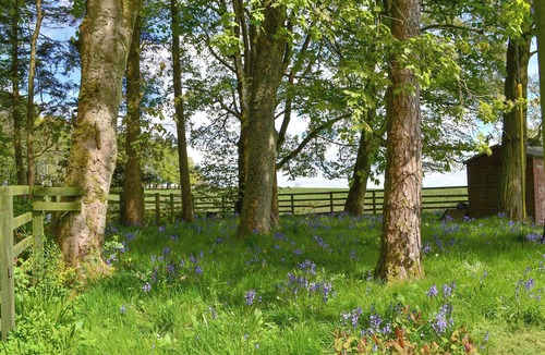 Brampton Cottage | 1 bedroom accommodation in Haltwhistle