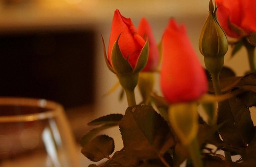 Crewkerne House | 1 bedroom accommodation in Crewkerne