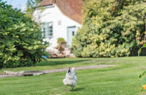 Cranbrook Cottage | 1 bedroom accommodation in Benenden