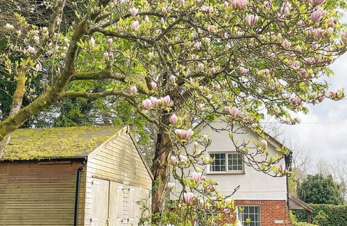 Liphook Cottage | 1 bedroom accommodation in Liphook, near Bramshott