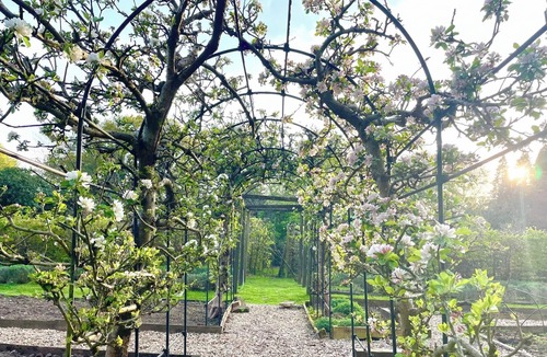 Liphook Cottage | 1 bedroom accommodation in Liphook, near Bramshott