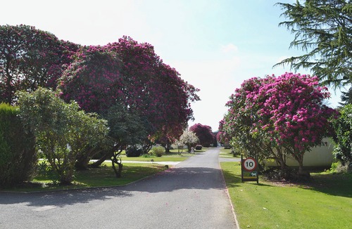 Liskeard Cottage | 1 bedroom accommodation in Liskeard