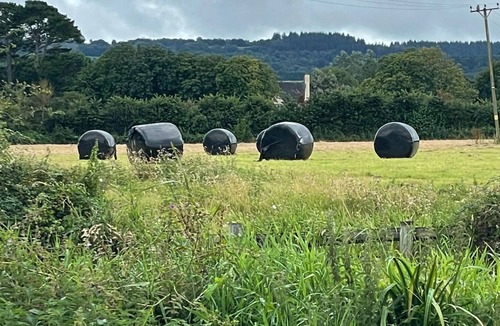 West Buckland Cottage | 1 bedroom accommodation in Taunton