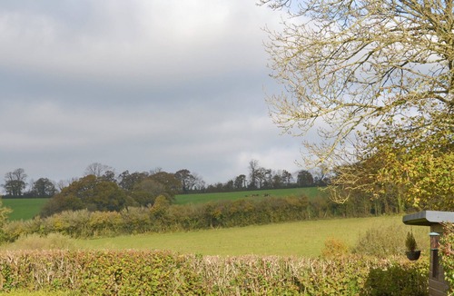 Totnes Cottage | 1 bedroom accommodation in Dartington, Totnes