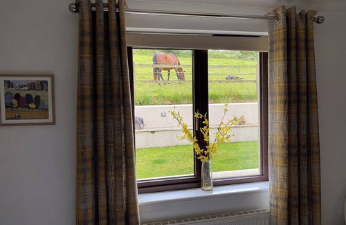Camborne Cabin | 1 bedroom accommodation in Troon