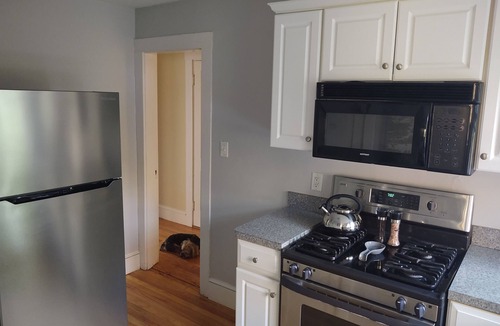 Lower Mills Apartment | 1-Bedroom Apartment in Milton Lower Mills convenient to Boston & Cambridge