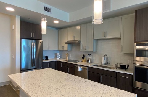 Texas Medical Center Apartment | 1-bedroom apartment in enjoyable Houston with close proximity to MD Anderson