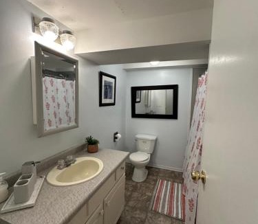 Owen Sound Apartment | 1 Bedroom Basement Apartment Owen Sound