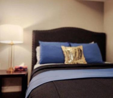 Milton Apartment | 1 Bedroom basement apartment with separate entrance