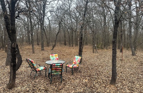 Ardmore Cabin | 1-bedroom cabin on wooded acreage 30 min from winstar