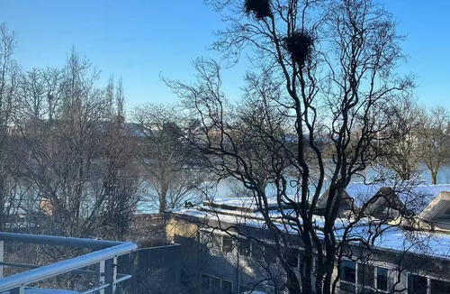 Norrebro Condo | 1 Bedroom Centrally Located by The Lakes