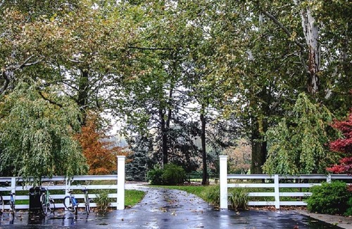 Sandusky Cabin | 1-bedroom guestroom, 14 minutes to Kalahari Waterpark Resort